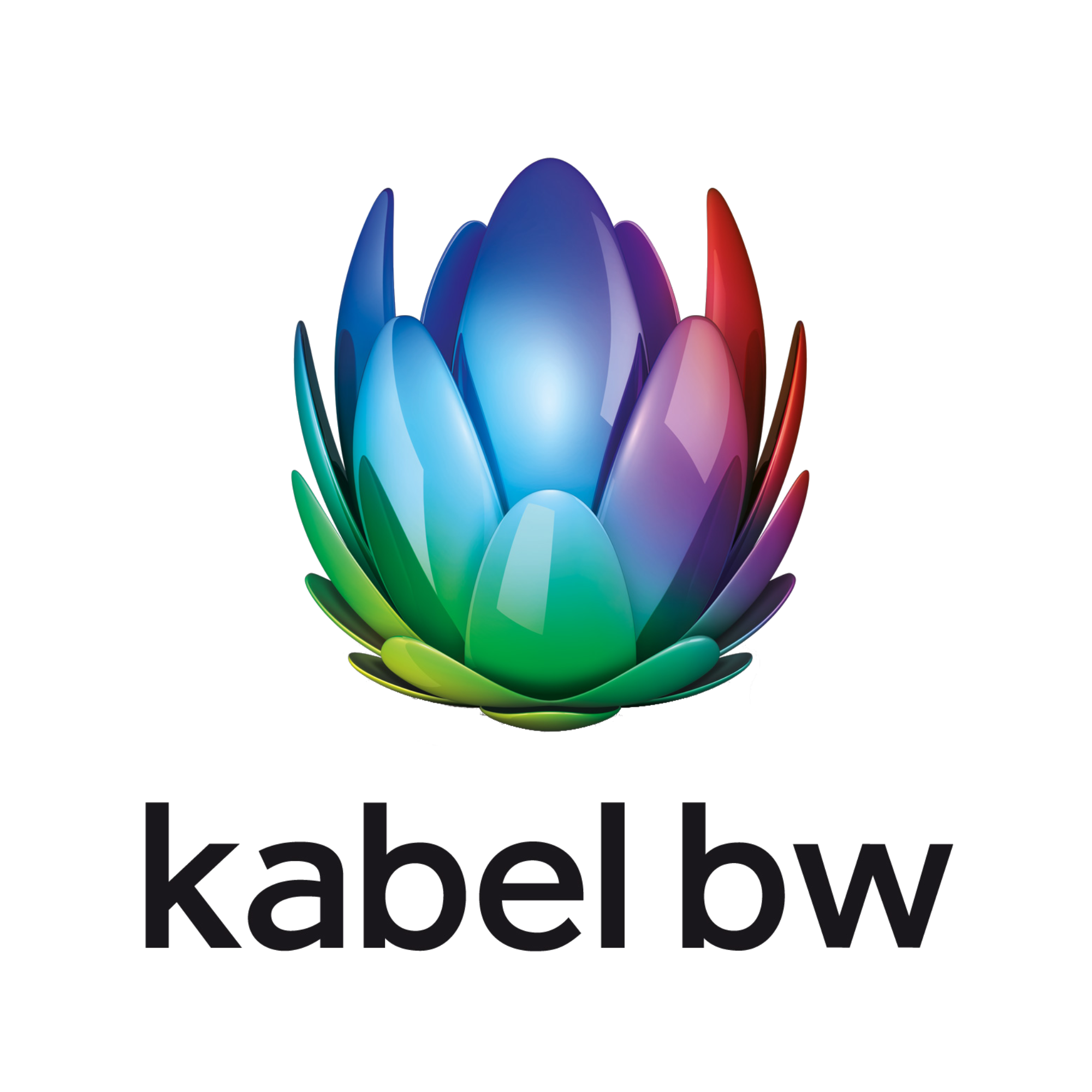 kabelbw