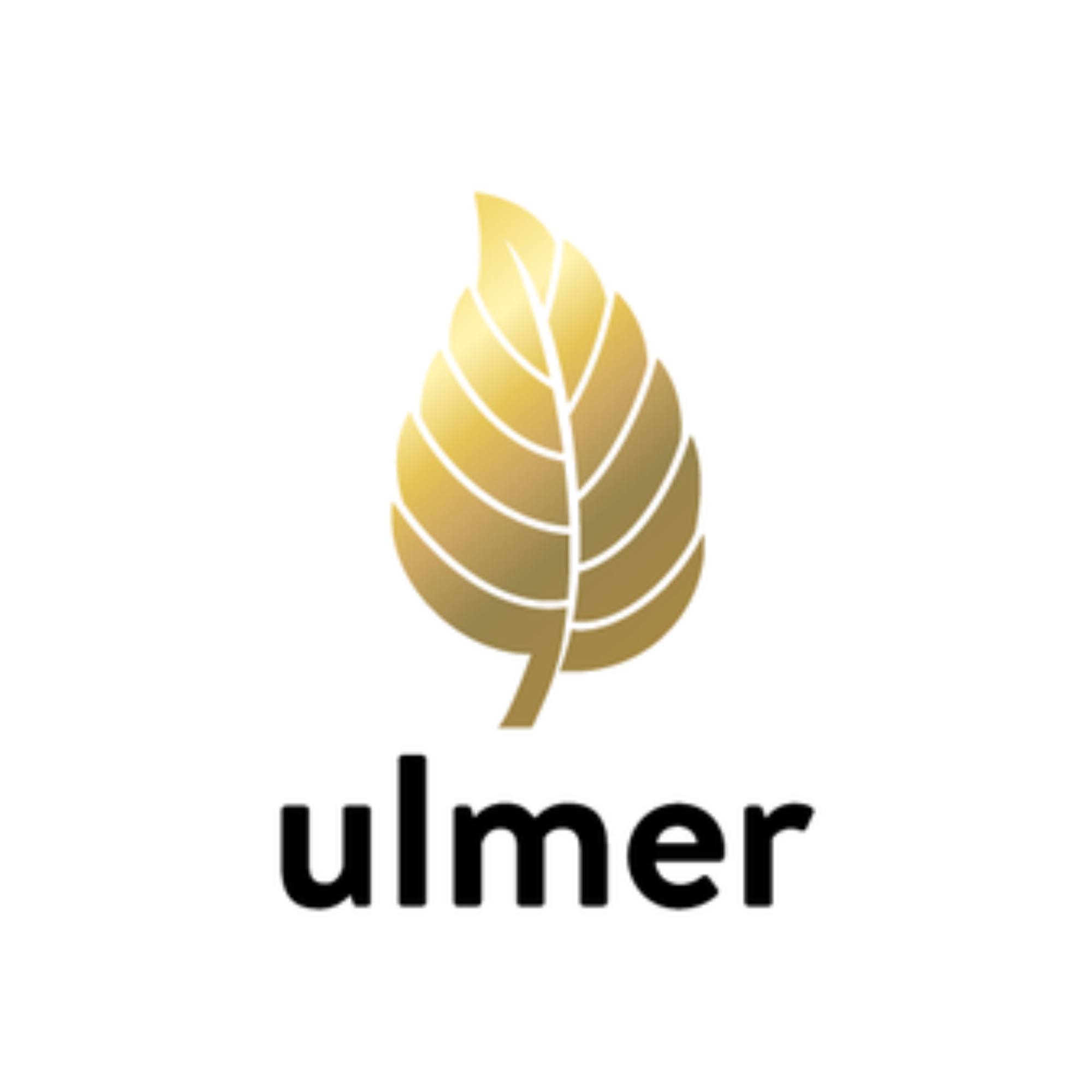 ulmer